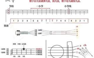 尤克里里自学视频能学会吗？