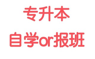 专升本自学还是辅导班，哪种更高效？