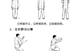 打太极拳自学教程视频