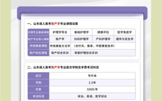 助为助产士，未来路向何方？