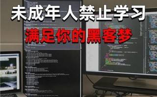 国家自学网是什么？