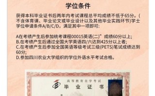 新媒体艺术课程学到了哪些核心内容？