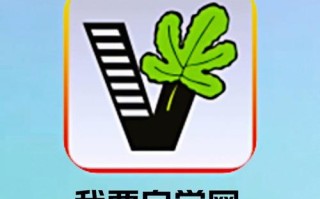 会声会影怎么学？自学网有教程吗？
