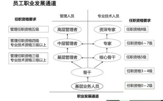 员工职业生涯与组织发展