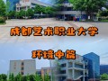 成都艺术职业大学的发展