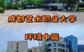 成都艺术职业大学的发展