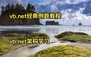 VB.NET零基础如何自学入门？