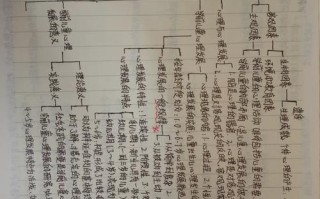 学前儿童发展心理学作业3的核心问题是什么？