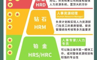 简述职业生涯发展的要素