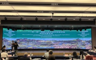 一带一路职业发展前景如何？