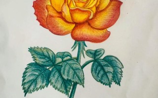 自学彩铅画要准备什么