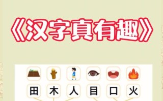 学前班汉字公开课视频，如何高效教学？