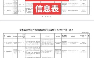 公益组织如何助力个人职业发展？