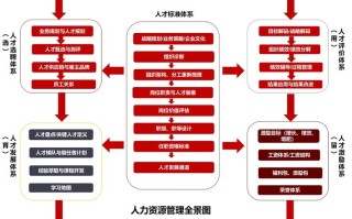 人力资源专业如何规划职业发展路径？
