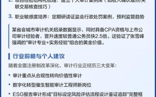 审计职业发展期望有哪些关键方向？