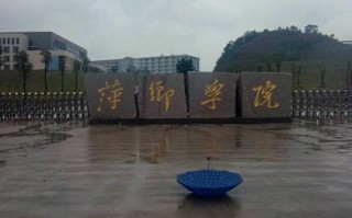 萍乡学院学前教育学院有何特色或优势？