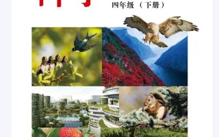 小学科学同步课视频该怎么学才高效？