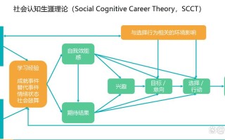 社会认知如何影响职业发展路径选择？