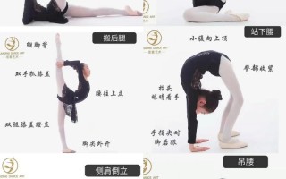 简单舞蹈教学视频自学能学会吗？