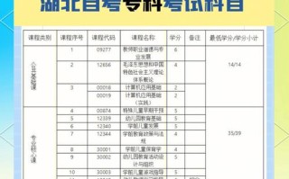 自学考试学前教育专科怎么考？