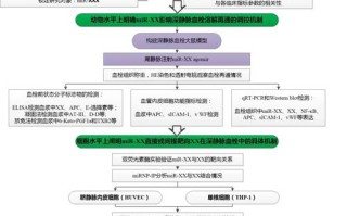生物工程职业发展路径有哪些方向？