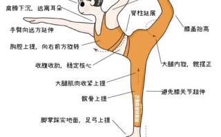 减肥舞蹈教学适合自学吗？