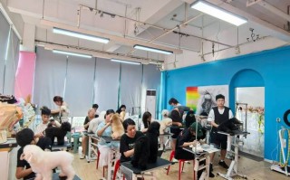 宠物美容培训课程该怎么选？