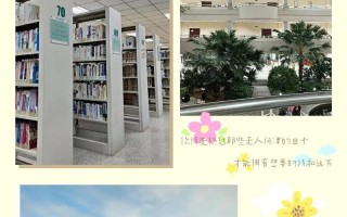 鞍师学前和沈师学前，区别到底在哪？