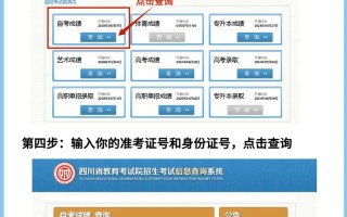 自学考试成绩哪里查？