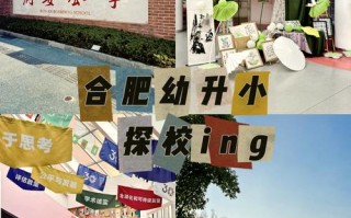 合肥哪些学校开设学前教育专业？