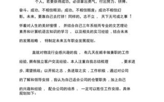 个人职业长期发展计划书