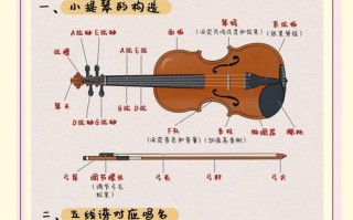 零基础自学小提琴真的能学会吗？