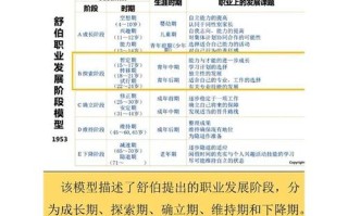 舒伯职业发展理论，人生五阶段如何塑造职业轨迹？
