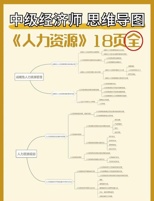 人力资源三级自学如何高效备考？-第1张图片-指南针培训网