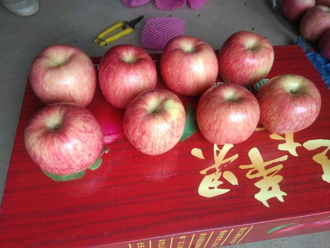 果树栽培课程形成性考核册有何作用?-第3张图片-指南针培训网 果树栽培课程形成性考核册有何作用?-第3张图片-指南针培训网