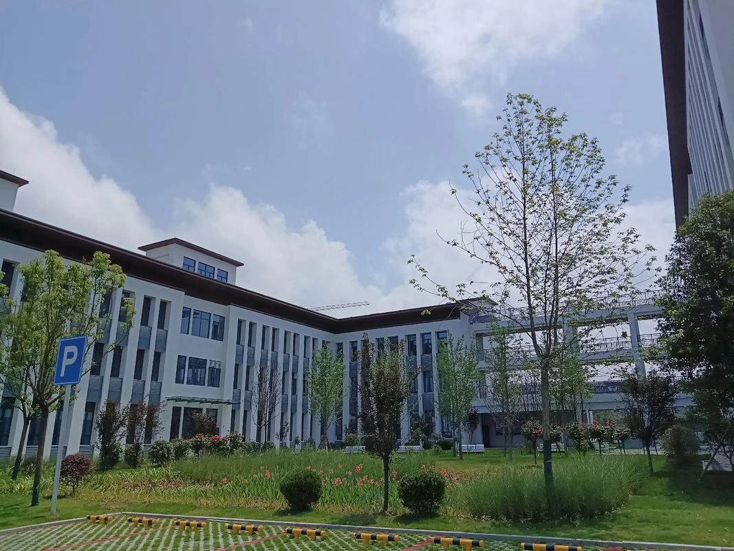 青海省自学考试管理如何优化提升？-第2张图片-指南针培训网