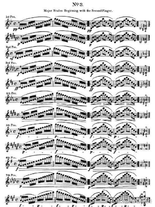 零基础自学小提琴真的能学会吗?-第3张图片-指南针培训网 零基础自学小提琴真的能学会吗?-第3张图片-指南针培训网