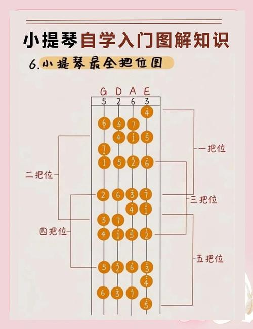零基础自学小提琴真的能学会吗?-第2张图片-指南针培训网 零基础自学小提琴真的能学会吗?-第2张图片-指南针培训网