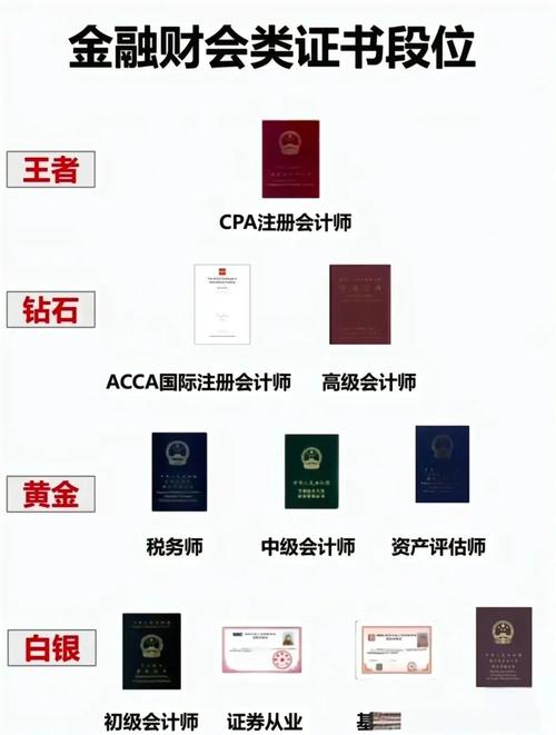 小学生自学考会计证，现实吗？-第1张图片-指南针培训网