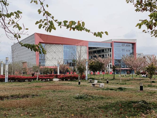 成都学前教育大专学校有哪些？-第1张图片-指南针培训网