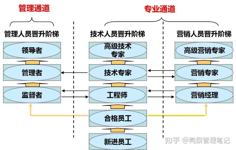 岗位体系与职业通道如何助力员工发展?-第3张图片-指南针培训网 岗位体系与职业通道如何助力员工发展?-第3张图片-指南针培训网