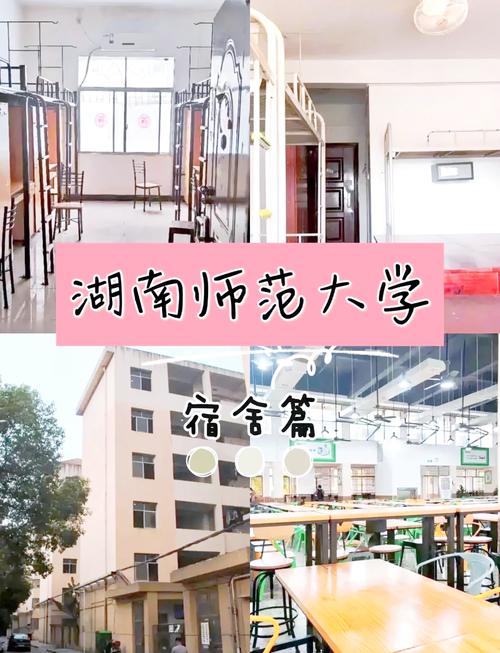 湖南师范大学学前教育研究生培养有何特色？-第3张图片-指南针培训网