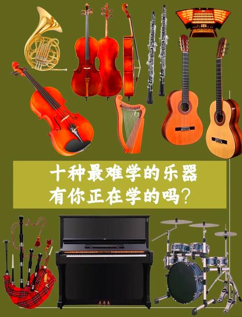 自学乐器哪种最易上手见效快?-第2张图片-指南针培训网 自学乐器哪种最易上手见效快?-第2张图片-指南针培训网