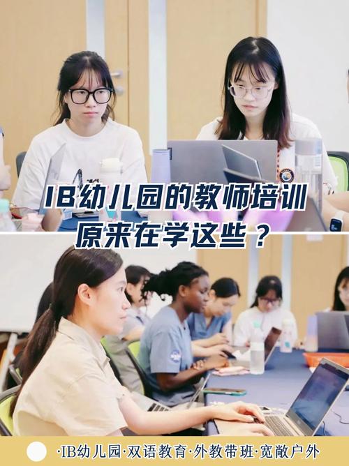 IB教师职业发展具体指什么？-第3张图片-指南针培训网