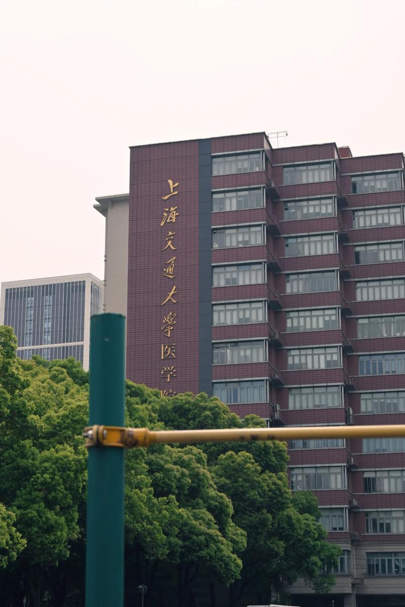 上海交大医学院课程中心有何特色?-第1张图片-指南针培训网 上海交大医学院课程中心有何特色?-第1张图片-指南针培训网