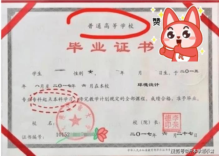 自学的本科文凭有用吗-第3张图片-指南针培训网