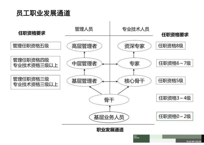 XX公司职业发展通道设计如何助力员工成长?-第3张图片-指南针培训网 XX公司职业发展通道设计如何助力员工成长?-第3张图片-指南针培训网