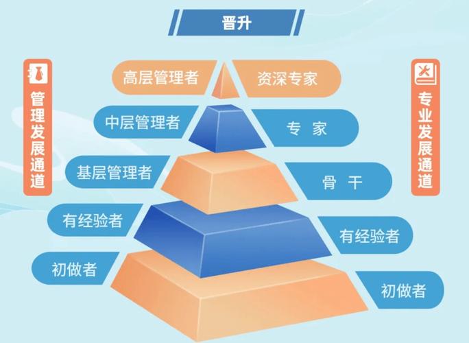 cro公司 bd的职业发展-第2张图片-指南针培训网