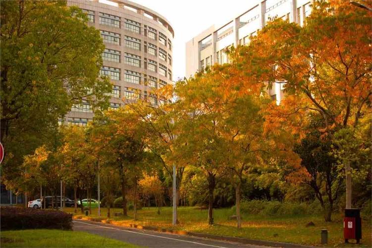 杭州师范钱江学院学前教育-第2张图片-指南针培训网