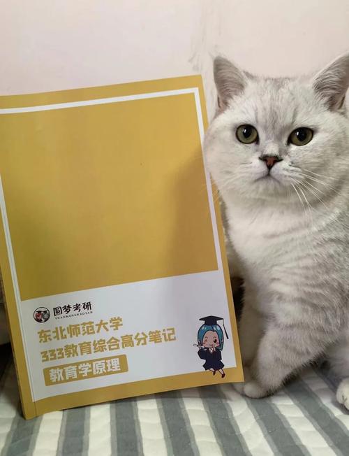 东北师范大学学前教育考研-第2张图片-指南针培训网